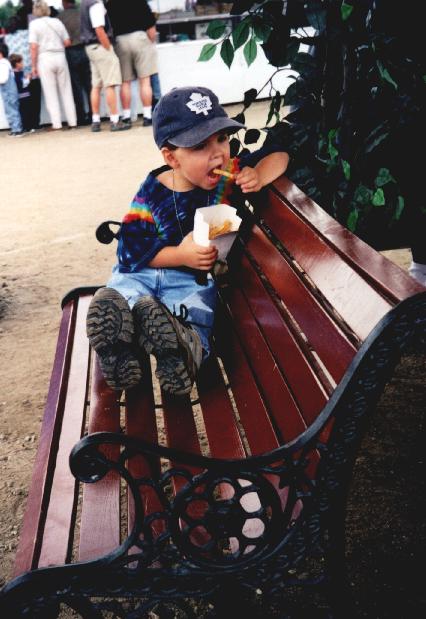fair00_fries1.jpg